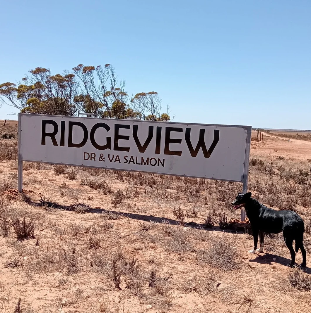 1266 OTC Road, Wandana SA 5690