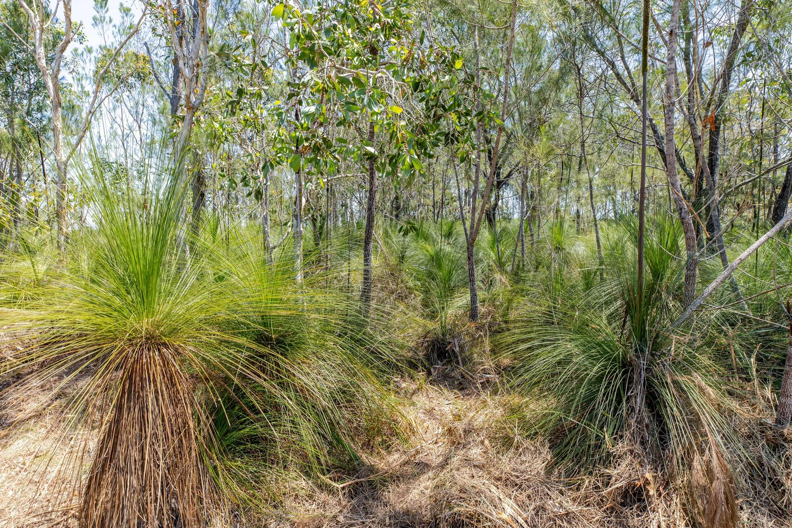 Additional image 6 of Lot 93/96 Mary Jane Drive, Julatten QLD 4871