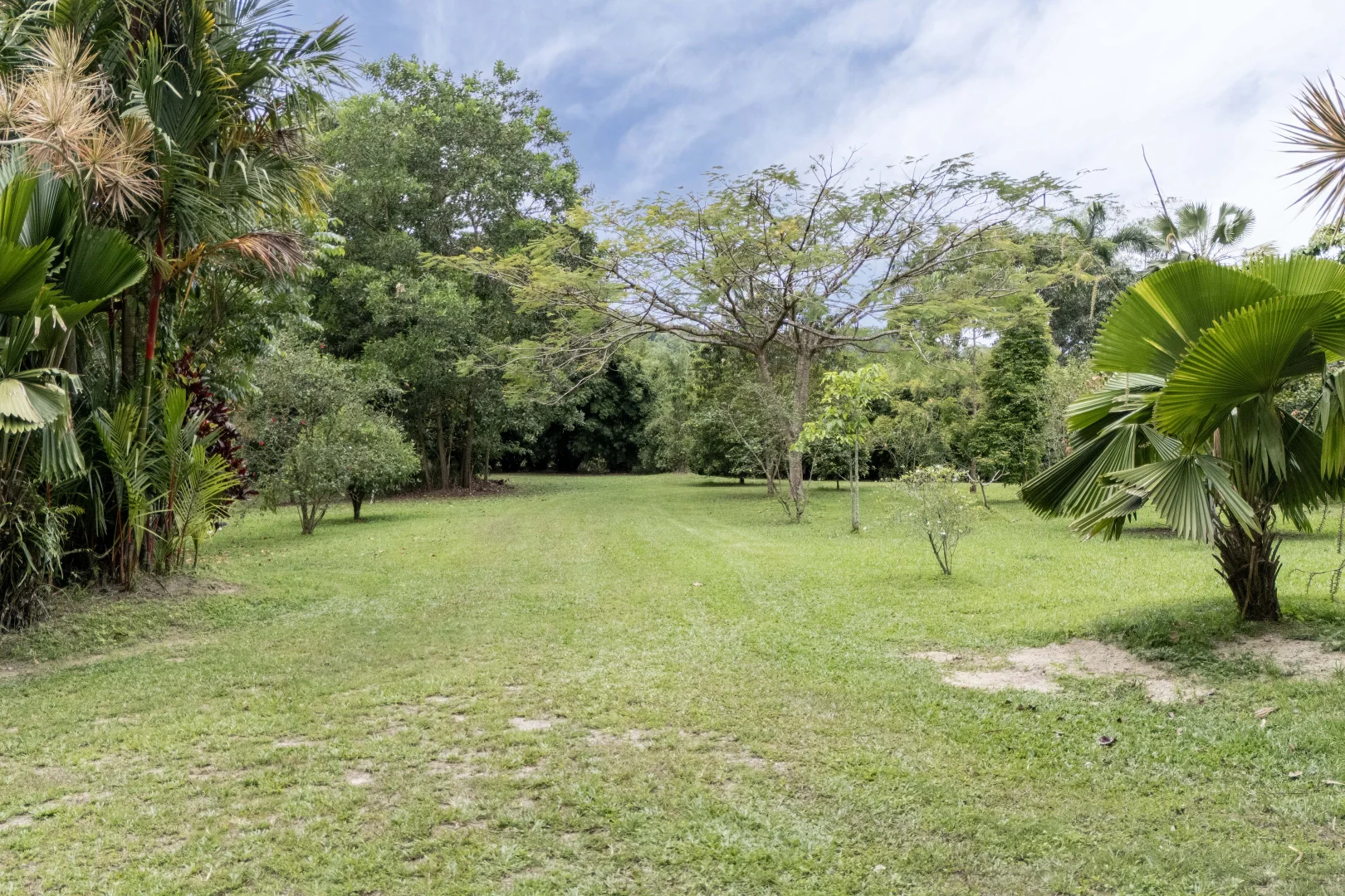 Additional image 23 of 516 Whyanbeel Road, Whyanbeel, Mossman QLD 4873