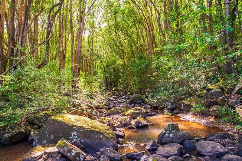 Additional image 5 of Lot 5/149 Federal Drive, Eureka NSW 2480