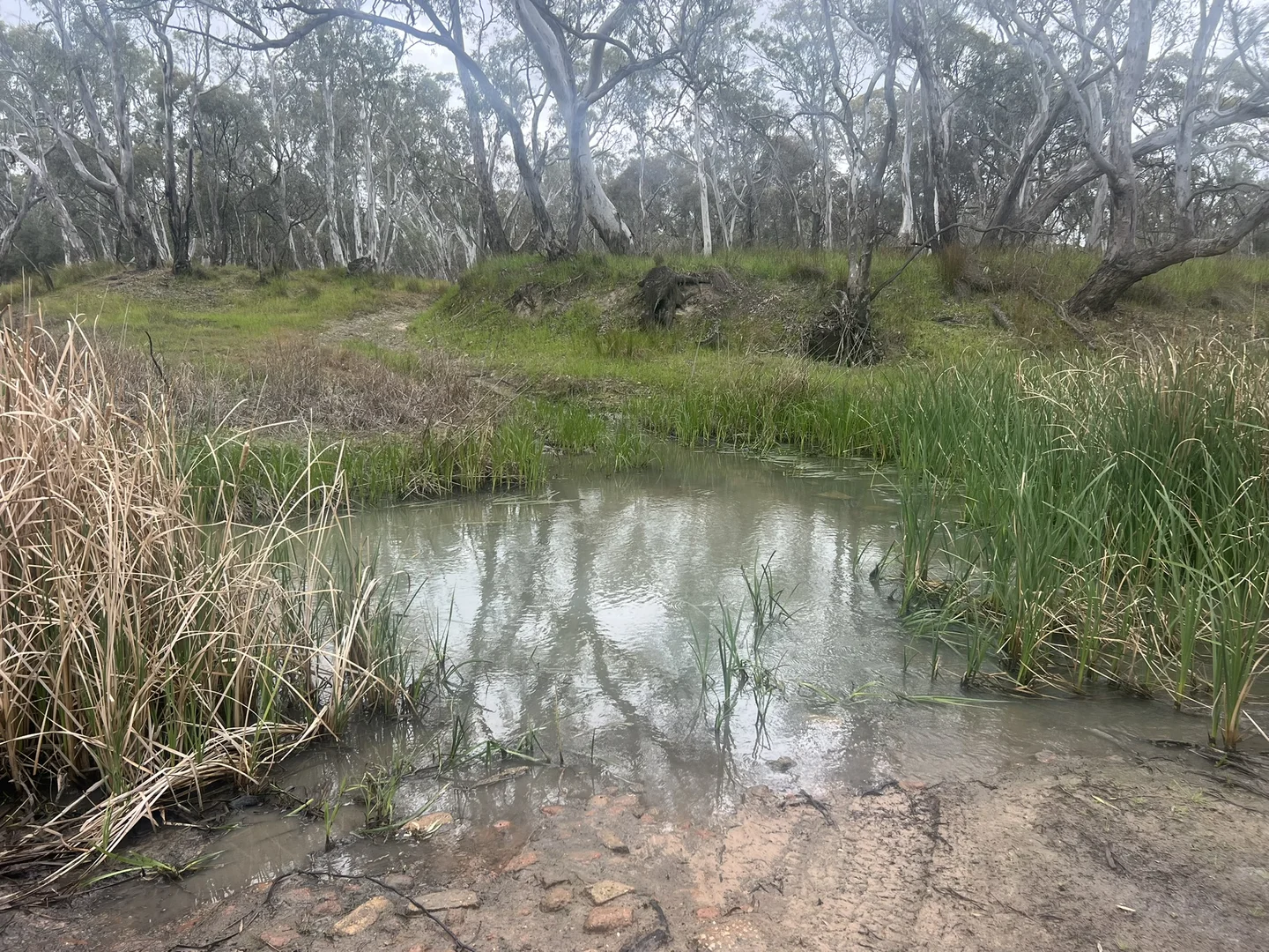 Additional image 4 of Lot 1 Lanes Avenue, Quantong VIC 3401