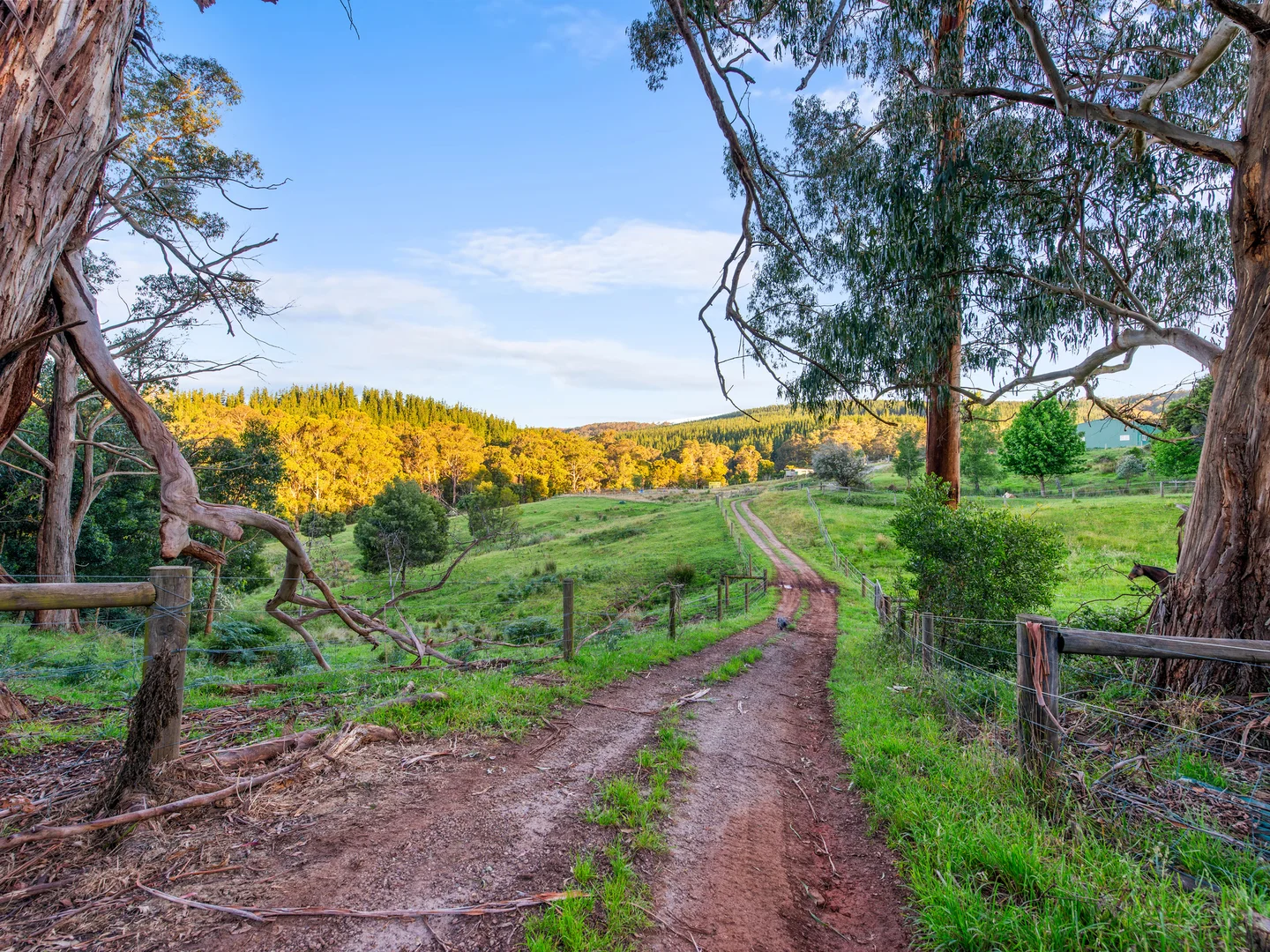 Additional image 24 of 43 Johnsons Lane, Willung South VIC 3847