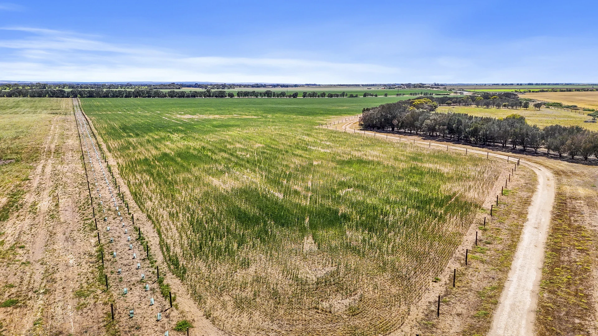 Additional image 6 of Lot 1 Tolderol Road, Langhorne Creek SA 5255