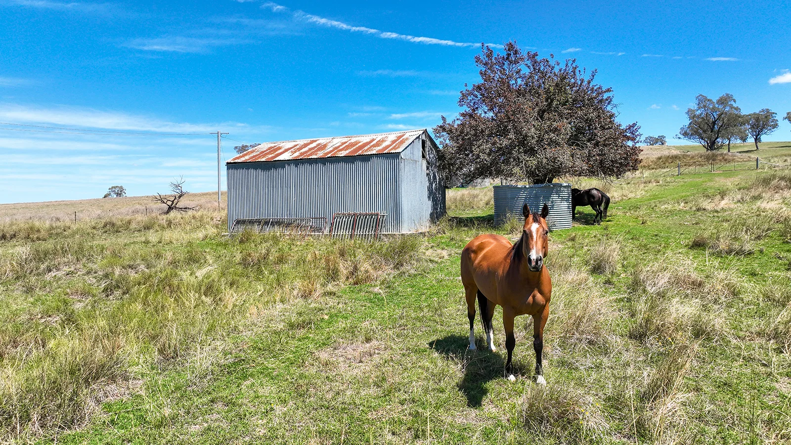 Additional image 42 of 322 Tongues Lane, Tamworth NSW 2340