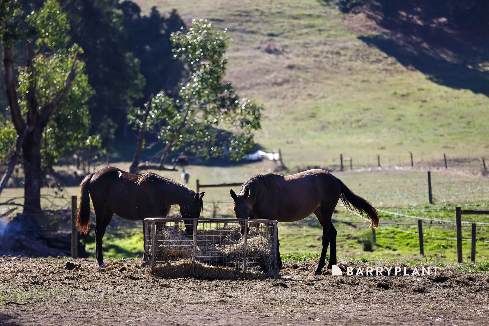 Additional image 13 of 28 Roches Road, Trafalgar VIC 3824