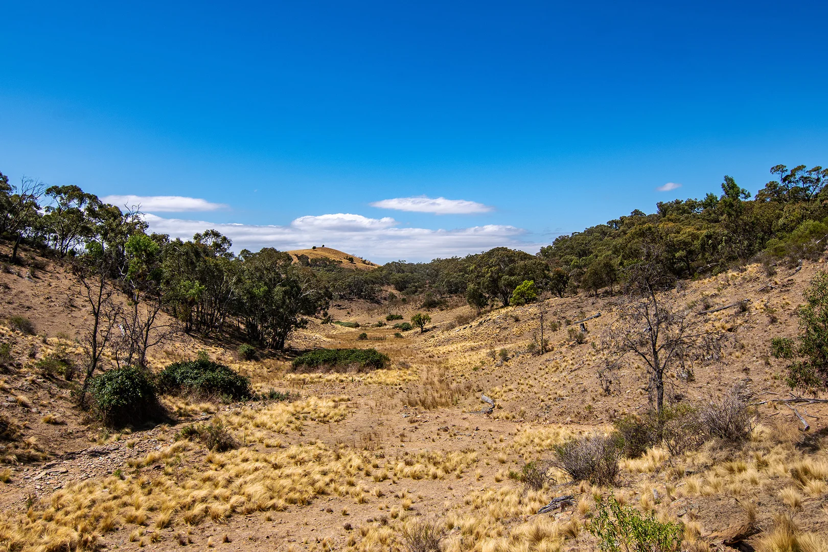 Additional image 13 of 856 Spring Flat Road, Spring Flat NSW 2850