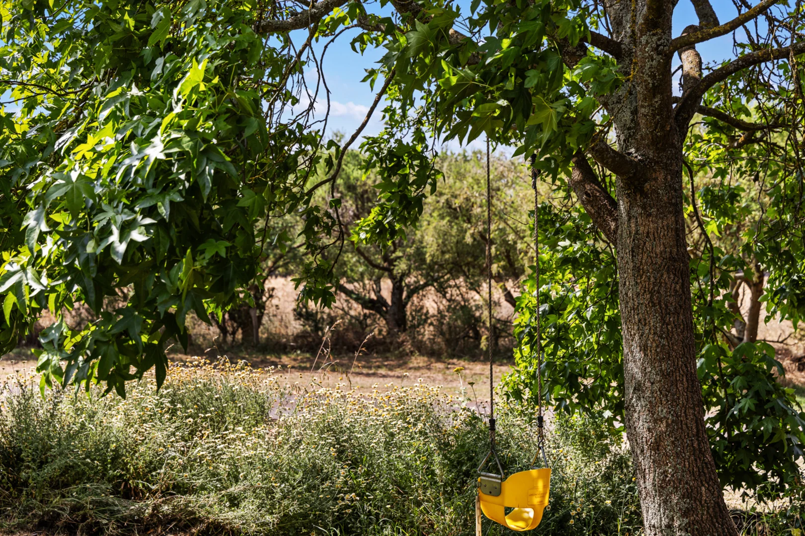 Additional image 21 of 170 Reidys Road, Bungaree VIC 3352