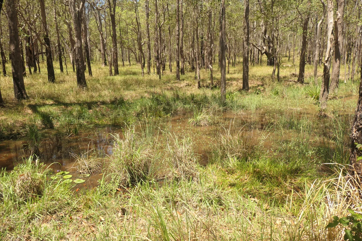 Additional image 8 of 4 Kimbin Pikapene Road, Tabulam NSW 2469