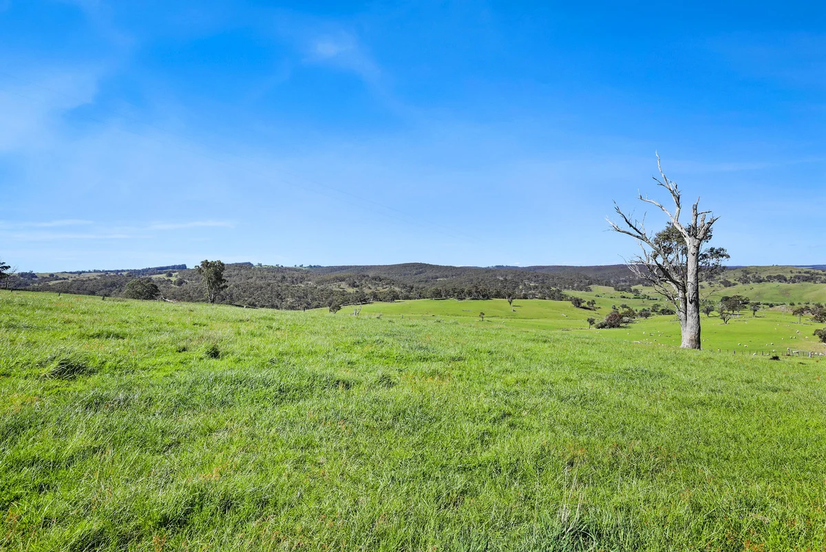 Additional image 22 of 3108 Middle Arm Road, Roslyn, Goulburn NSW 2580