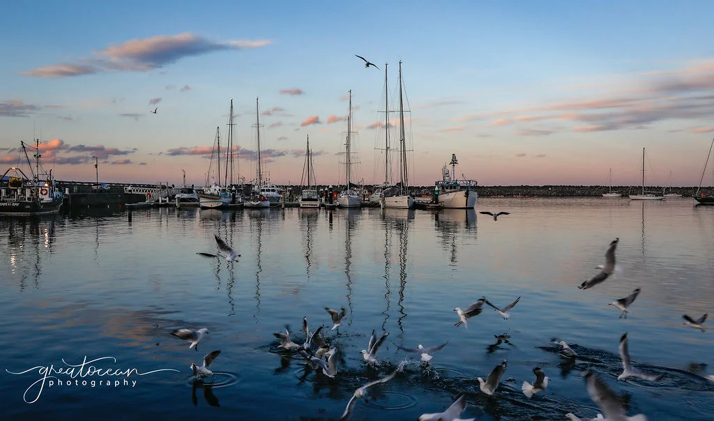 Additional image 30 of 1/15 Cawood Street, Apollo Bay VIC 3233