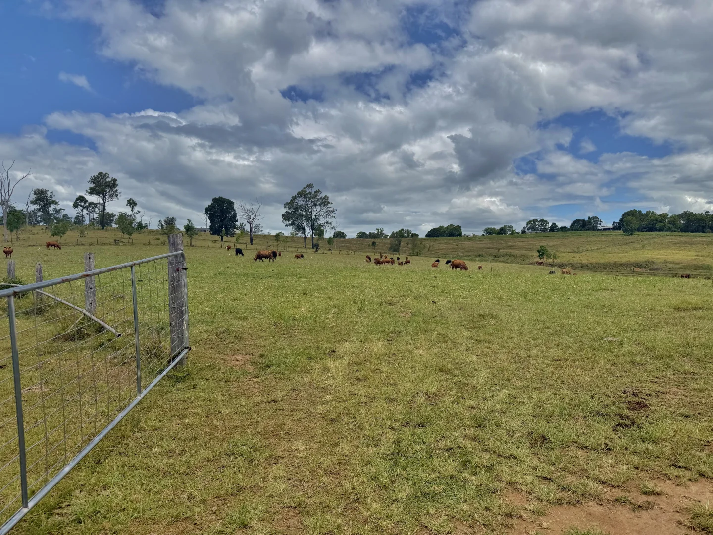 Additional image 13 of Lot 179 Glen Cairn Rd, Laidley Heights QLD 4341