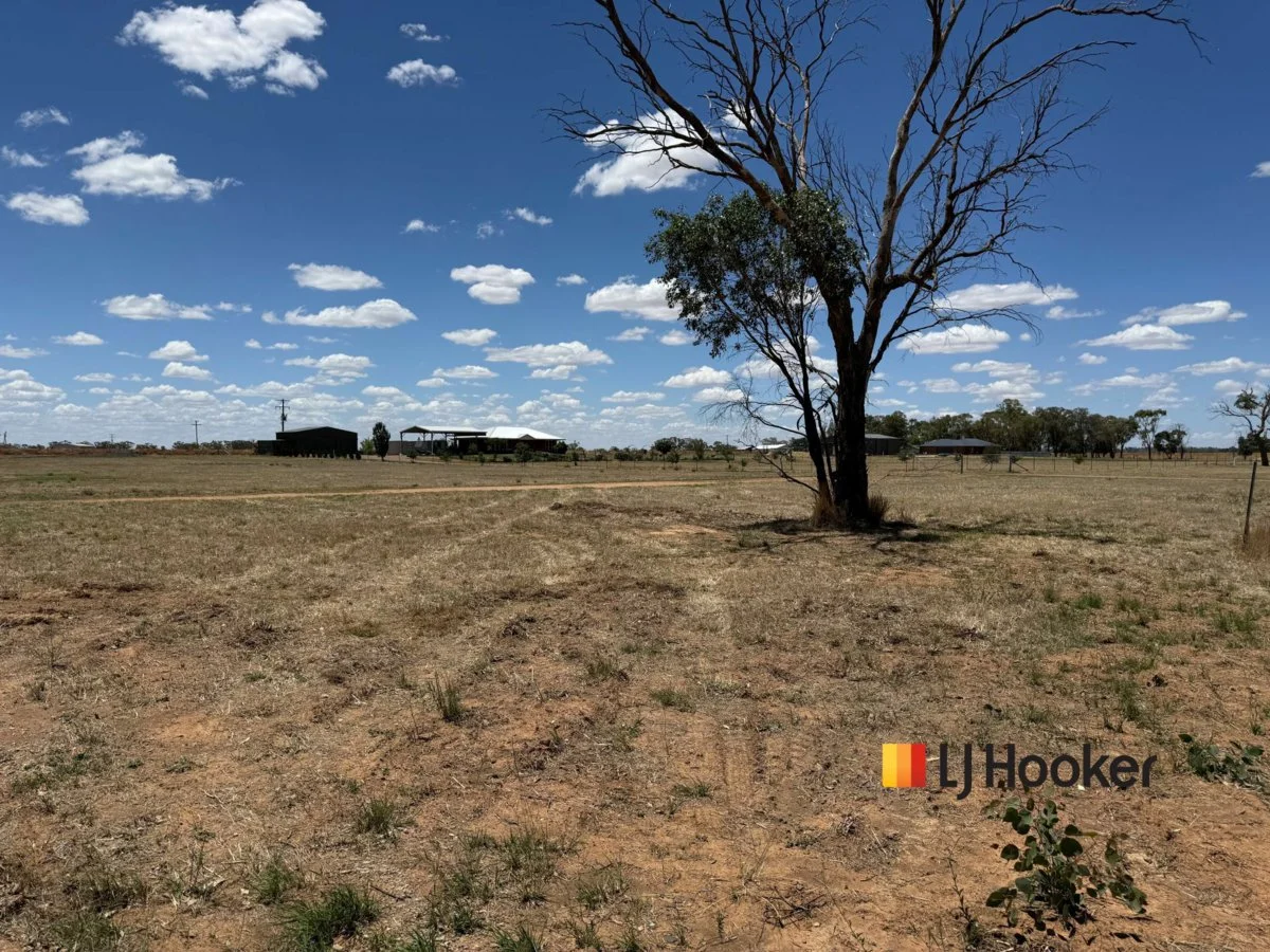 Additional image 3 of 88 McNamaras Lane, Narromine NSW 2821