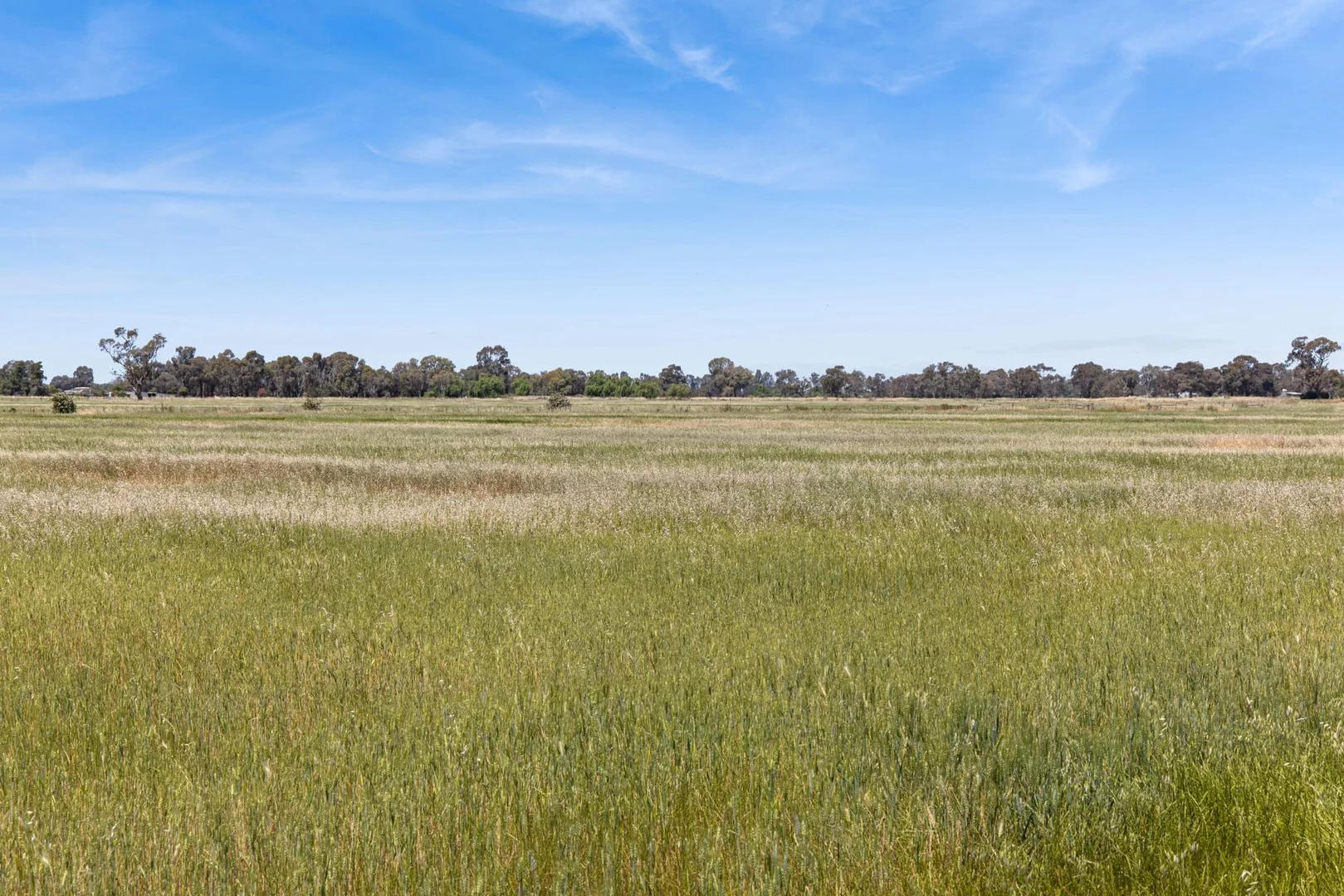Additional image 7 of Pannoo Road & Johnson Road, Lockington VIC 3563