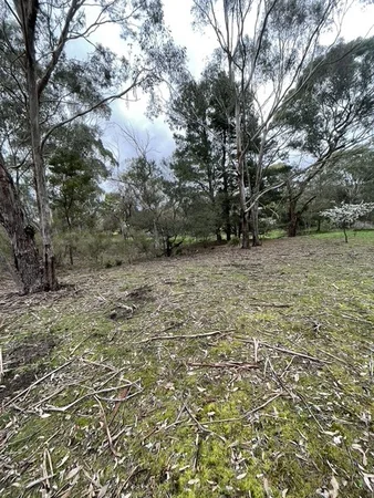 Additional image 9 of 41 Eleventh Avenue, Eden Park VIC 3757