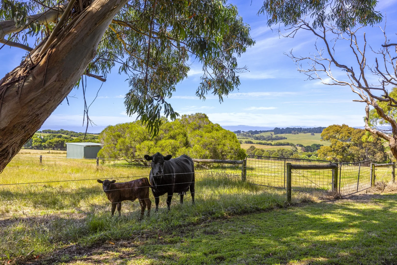 Additional image 21 of 2150 Mornington-Flinders Road, Flinders VIC 3929