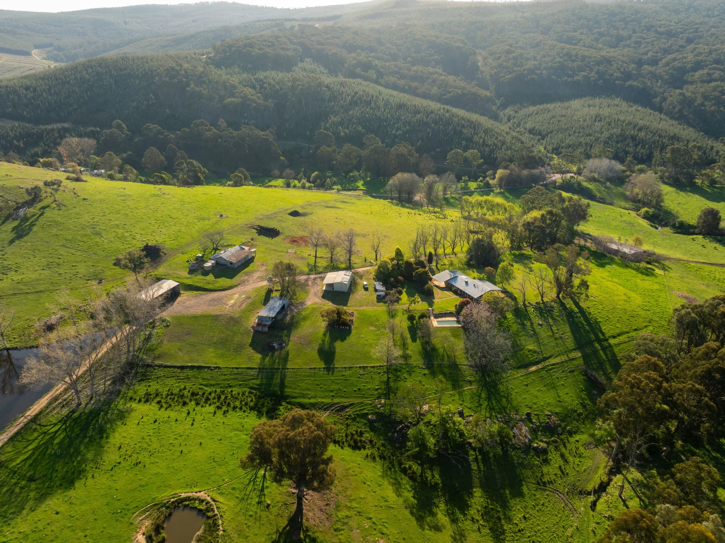 Additional image 13 of 315 Davies Road, Warrenbayne VIC 3670