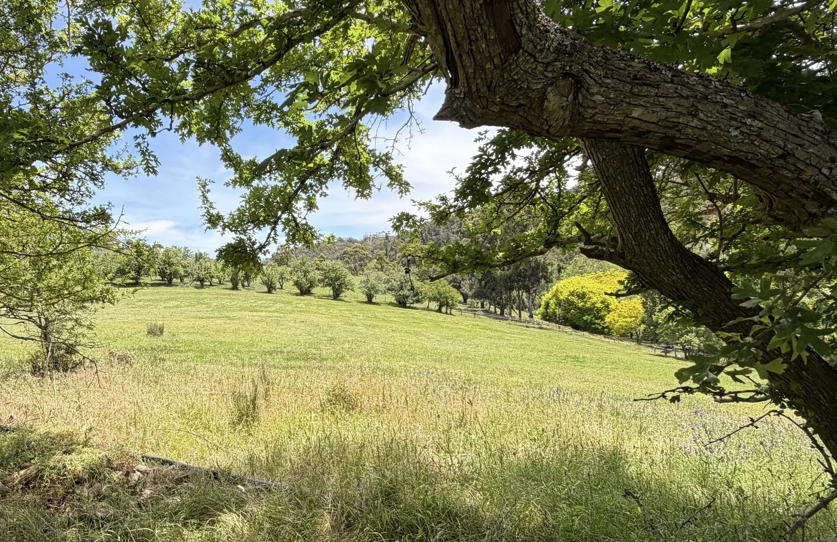 Additional image 21 of 255 Sturt Valley Road, Upper Sturt SA 5156