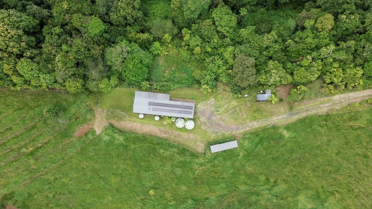 Additional image 25 of Lot 291 Palmerston Highway, Mungalli QLD 4886