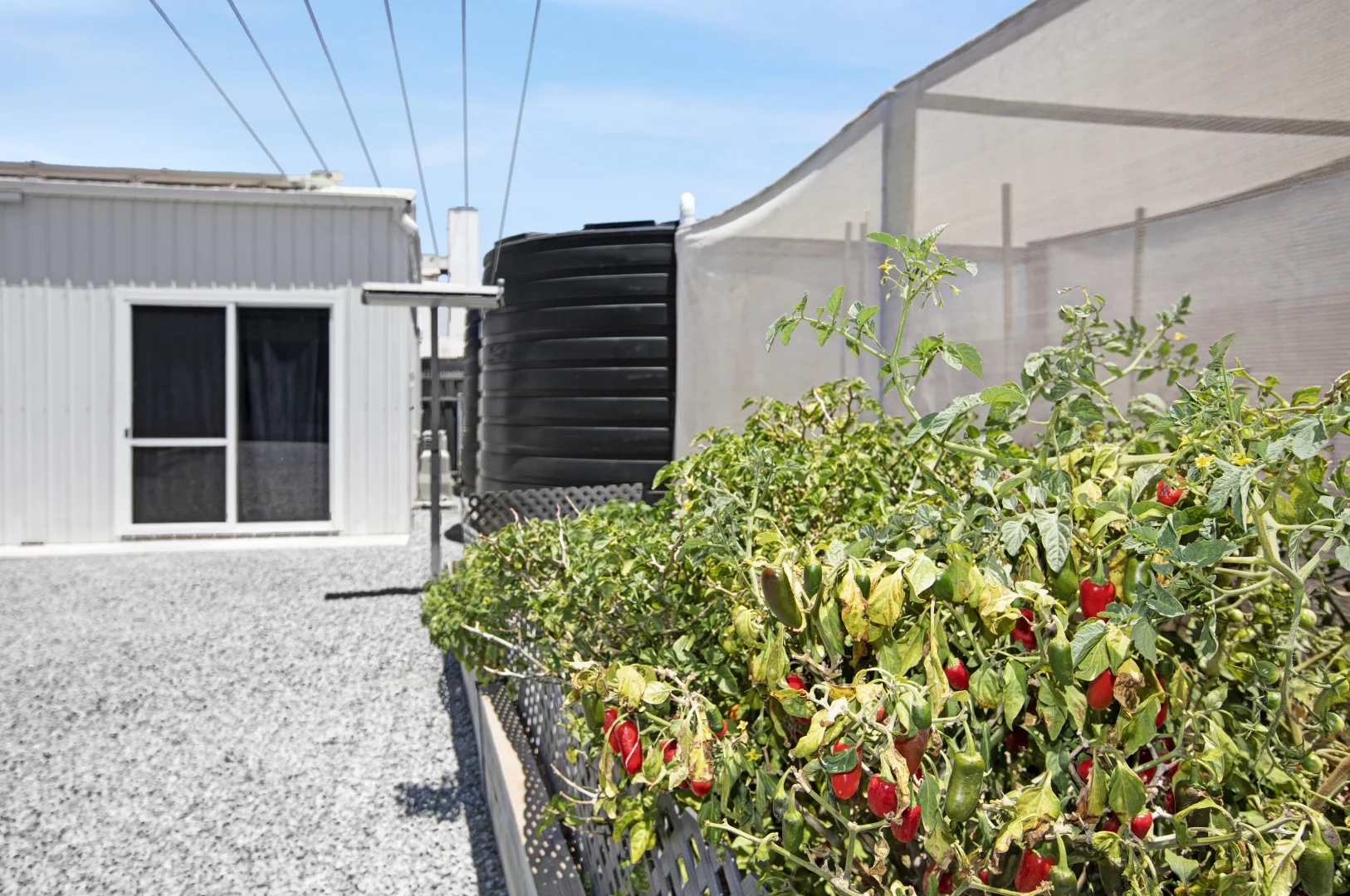 Additional image 37 of 3 Poyntz Street, Thevenard SA 5690