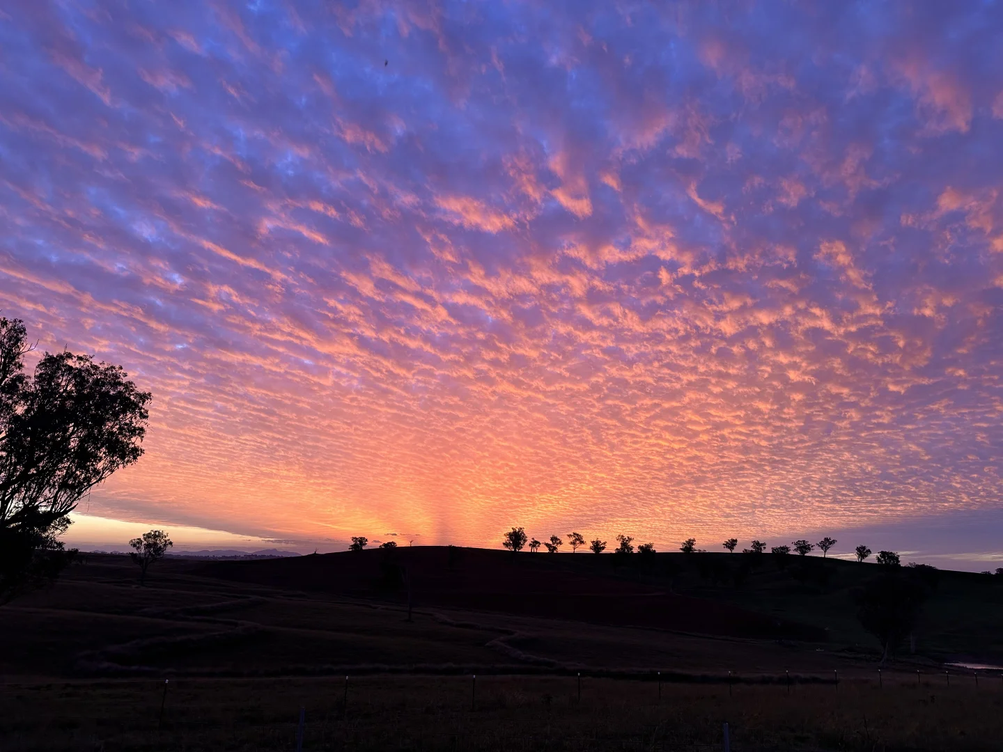 Additional image 22 of 322 Tongues Lane, Tamworth NSW 2340
