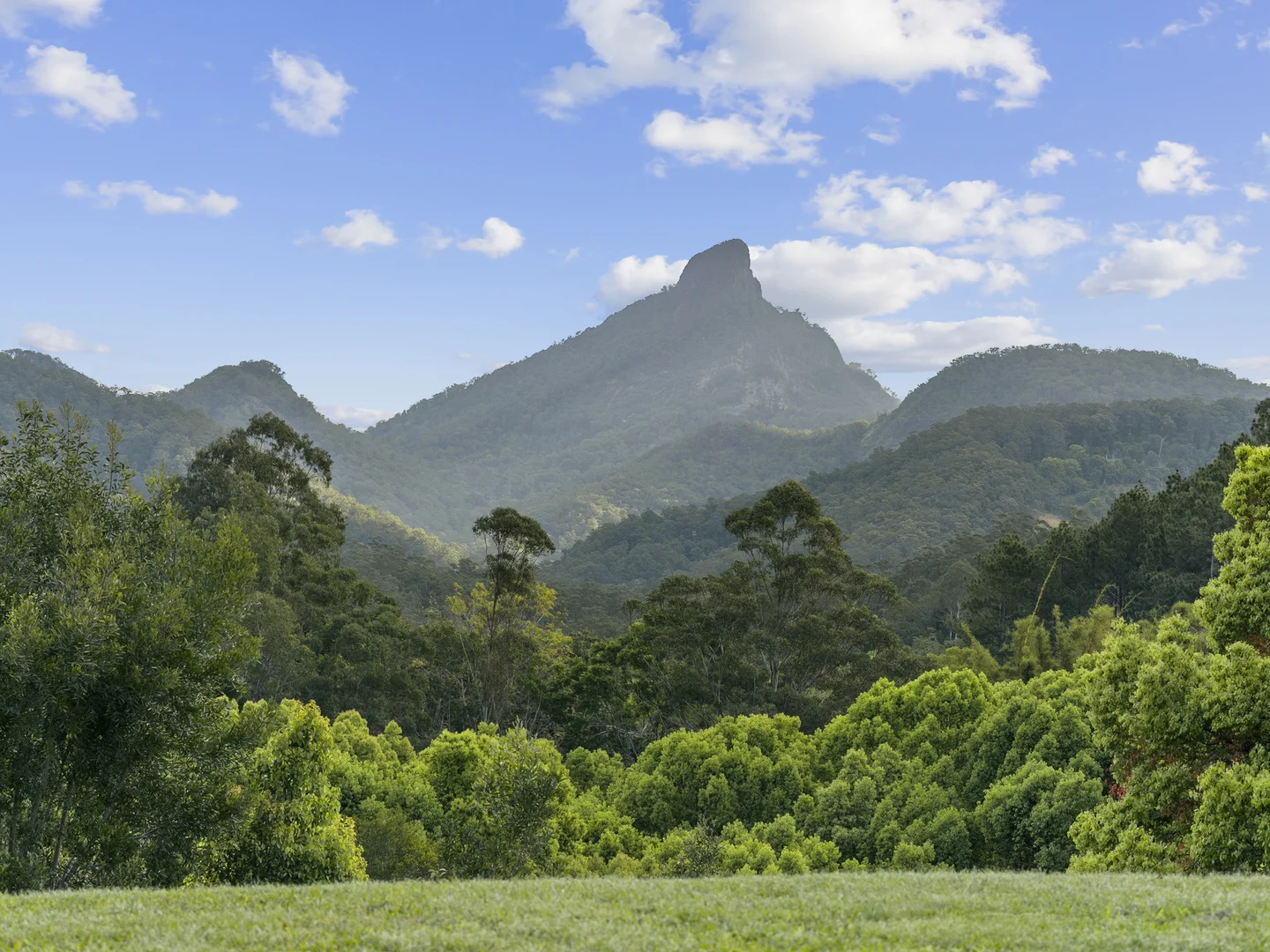 Additional image 6 of 64 Mount Warning Road, Mount Warning NSW 2484