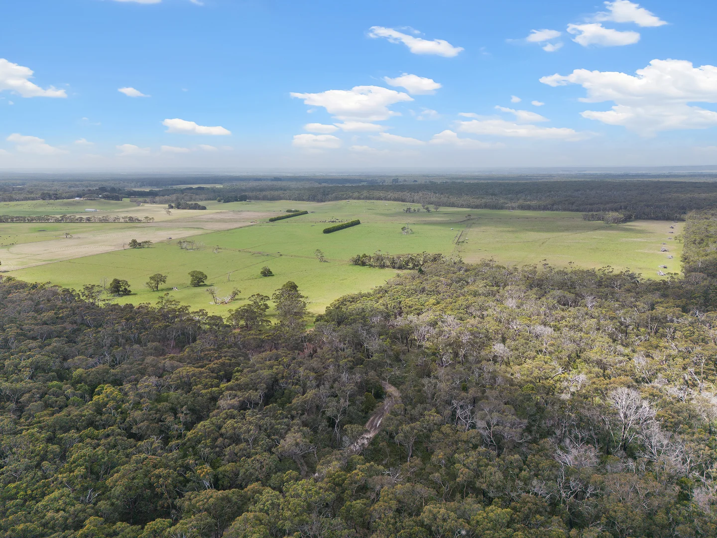 Additional image 11 of 931 Gorae Road, Gorae VIC 3305