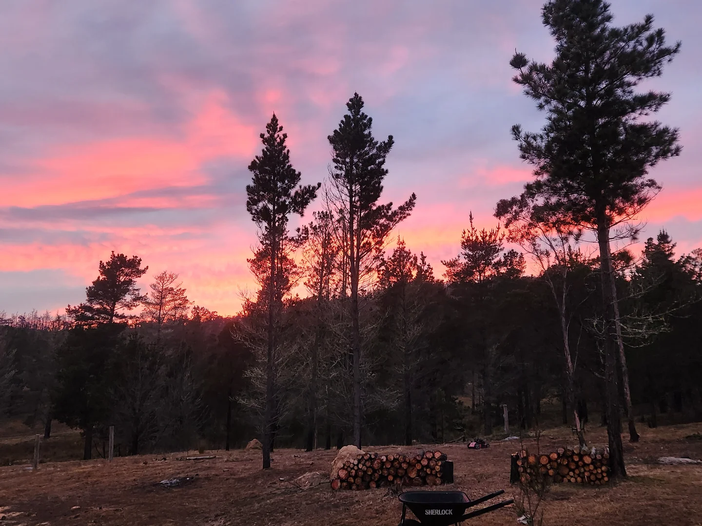 Additional image 7 of 480 Tall Timbers Road, Tomboye NSW 2622