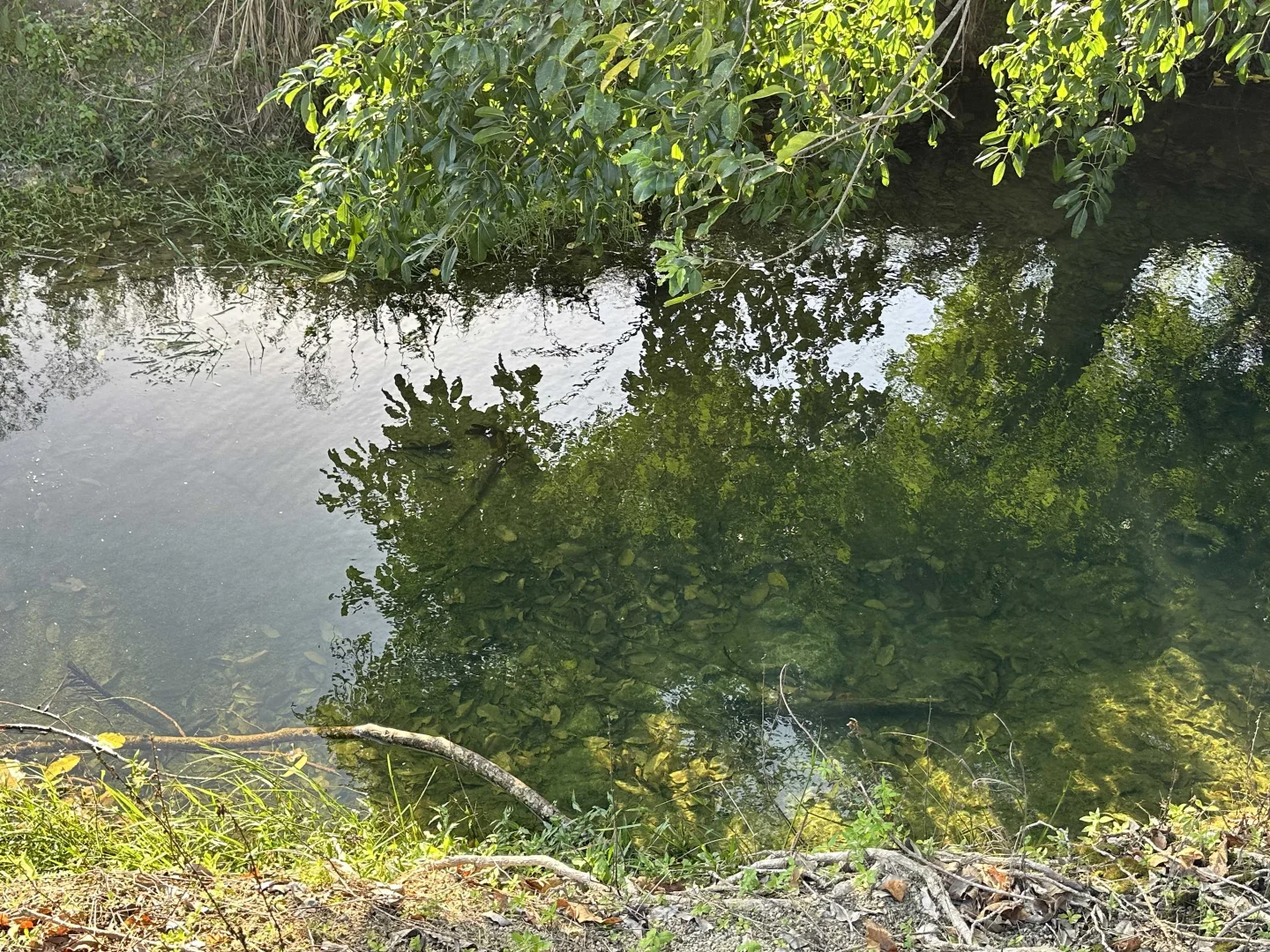 Additional image 4 of Lot 2 Broderick Road, Midgenoo QLD 4854