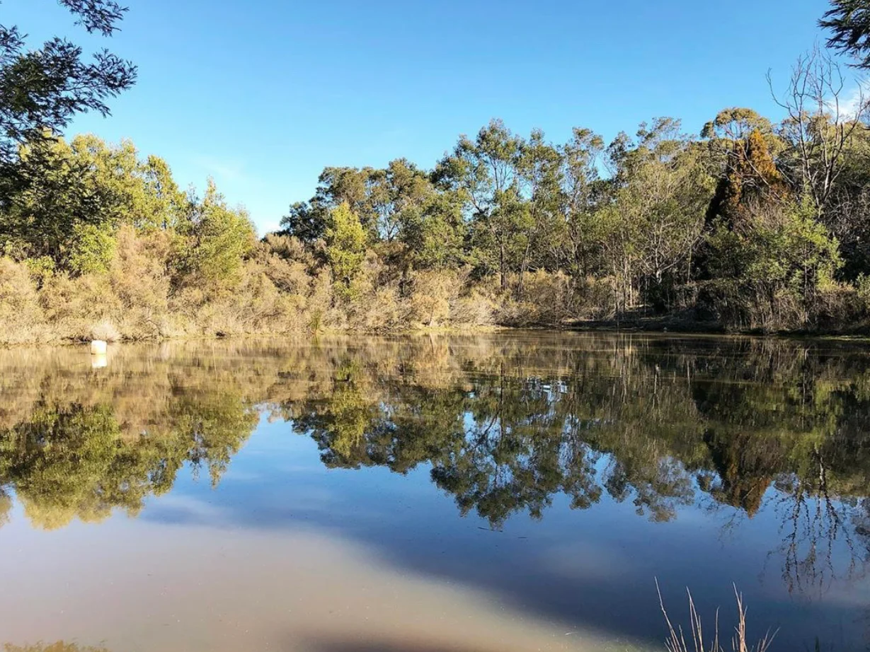 Additional image 15 of 58 Neville Lane, Napoleons VIC 3352