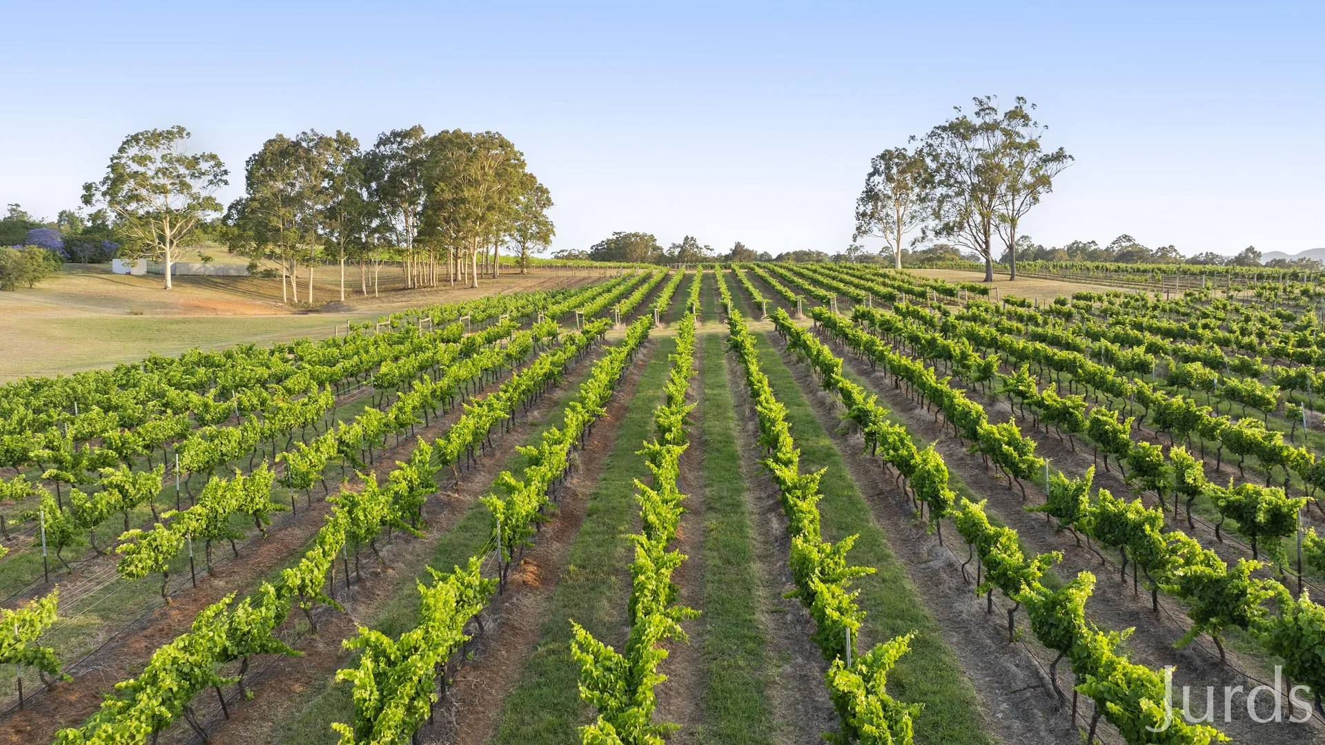 Additional image 35 of 110 Old North Road, Pokolbin NSW 2320