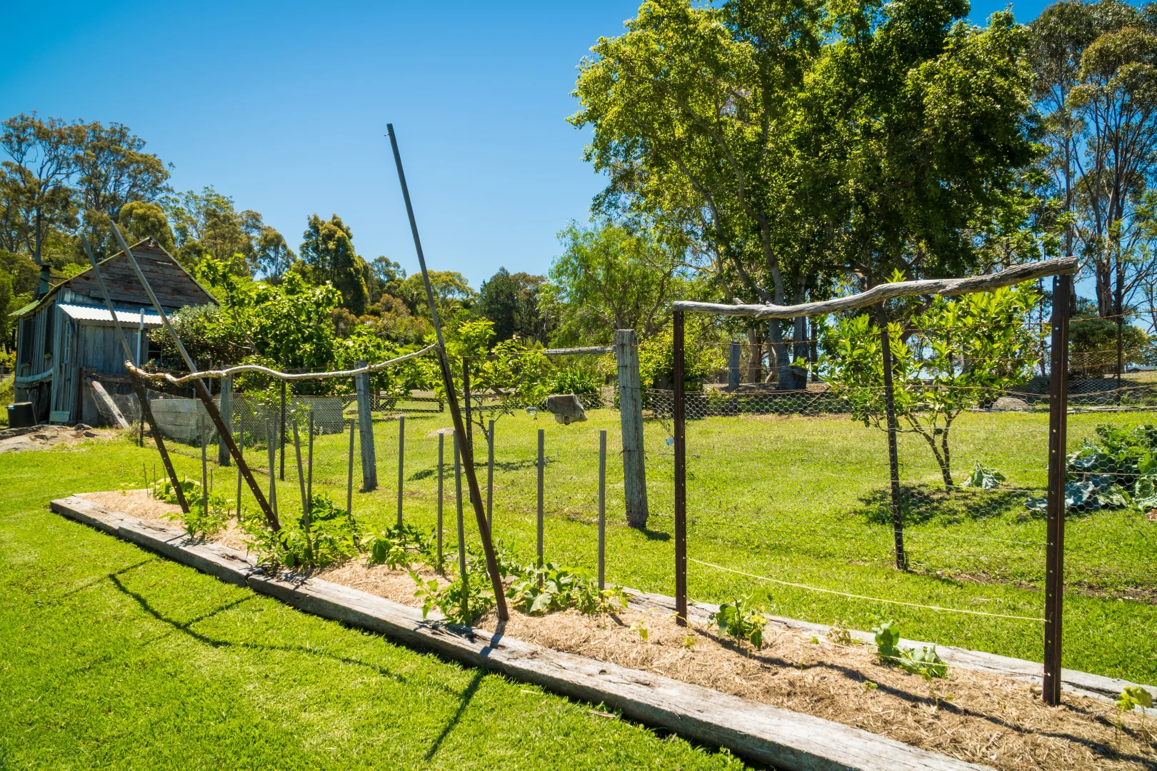 Additional image 28 of 46 Punkalla Tilba Road, Central Tilba NSW 2546