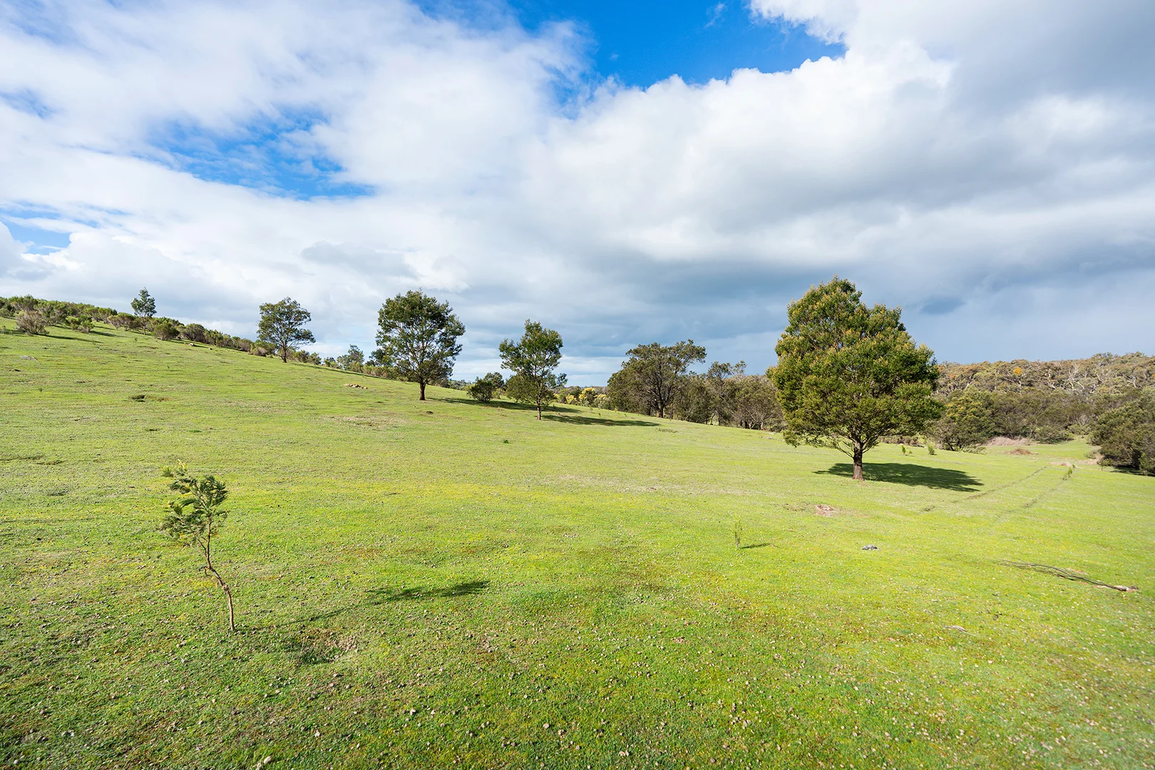 Additional image 10 of 130 Cypress Drive, Elphinstone VIC 3448