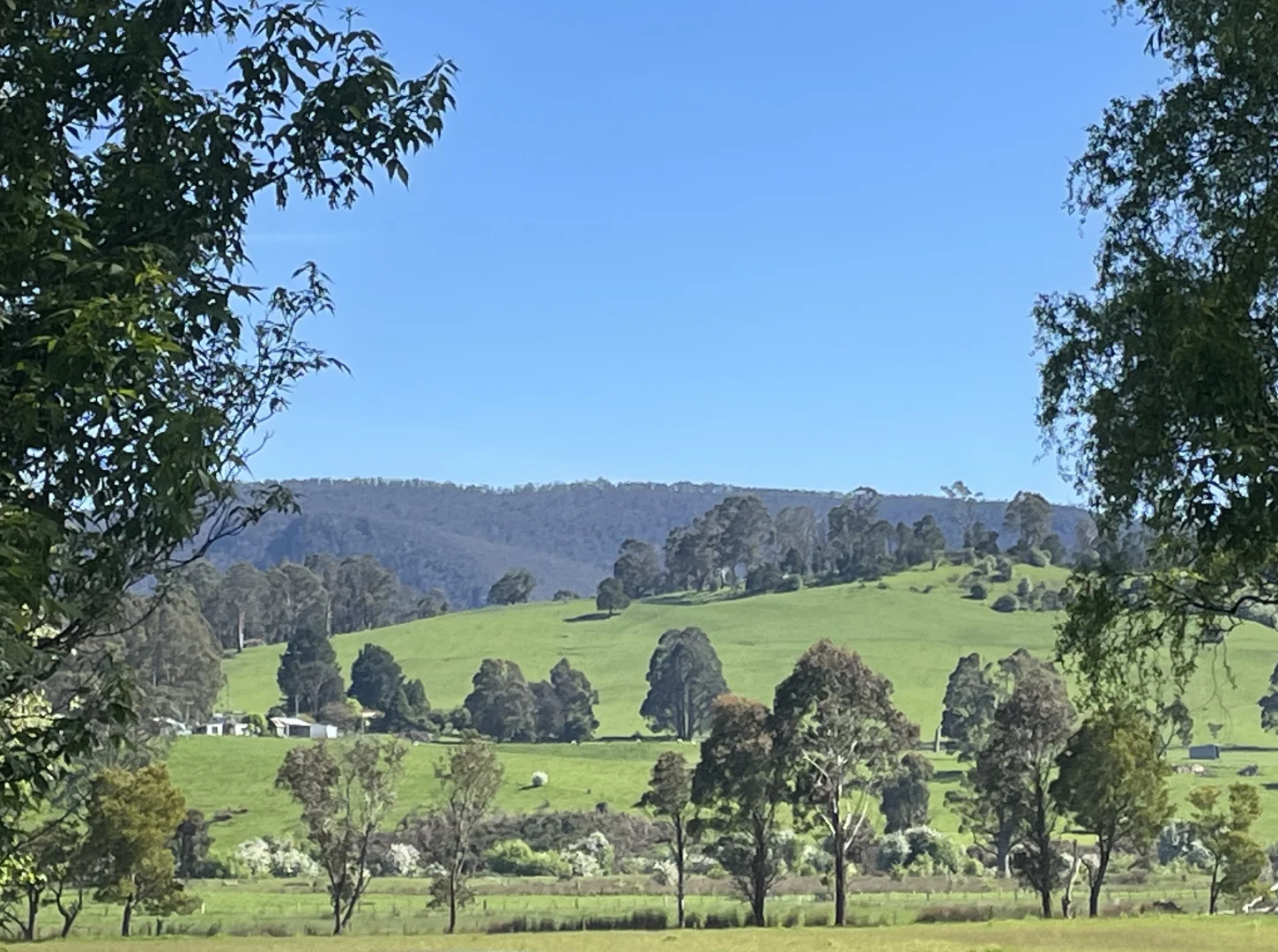 Additional image 20 of 60 Sorell Street, Chudleigh TAS 7304