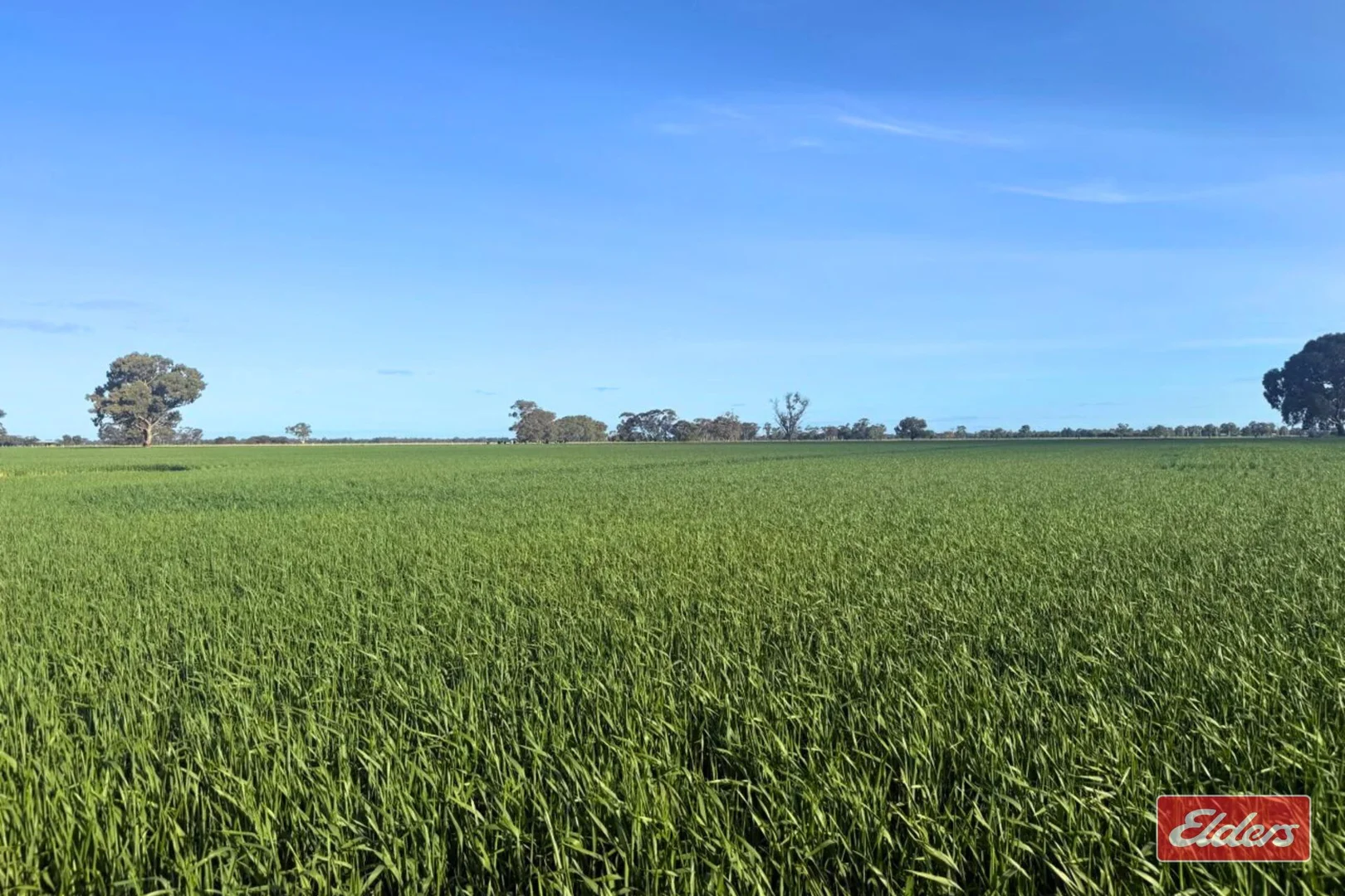 Additional image 7 of 821 Echuca West School Road, Echuca VIC 3564