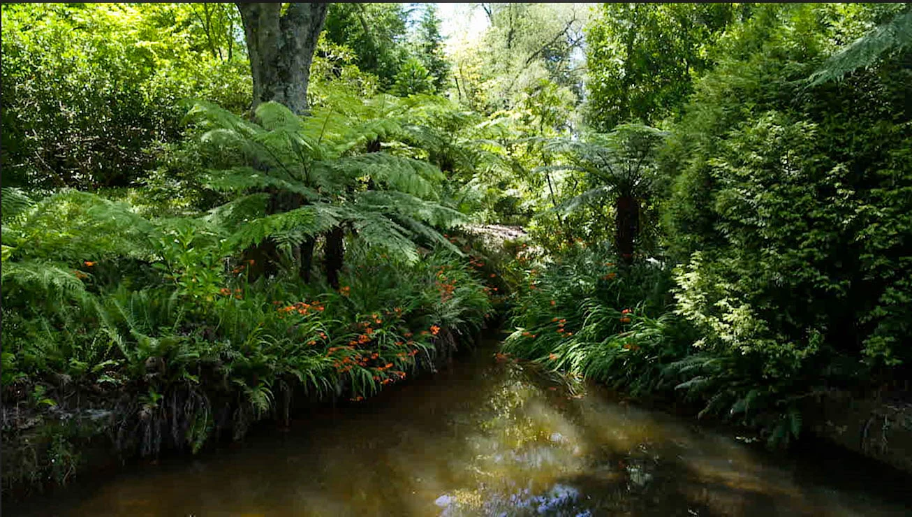 Additional image 22 of 64-68 Grose St/14 Beattie Street, Leura NSW 2780