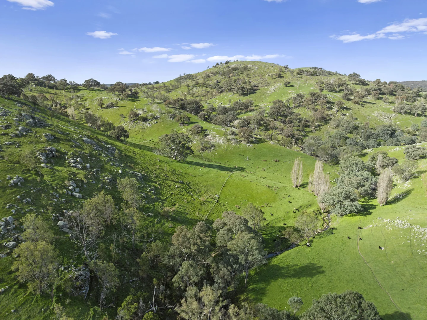 Additional image 12 of Sugarloaf Road, Sheans Creek VIC 3666