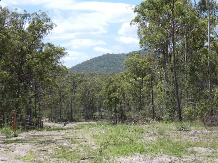 Additional image 8 of Lot 41 Moolyung Road, Waterloo QLD 4673