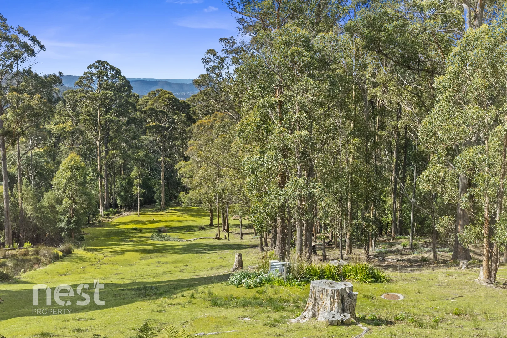 Additional image 21 of 396C Strickland Avenue, South Hobart TAS 7004