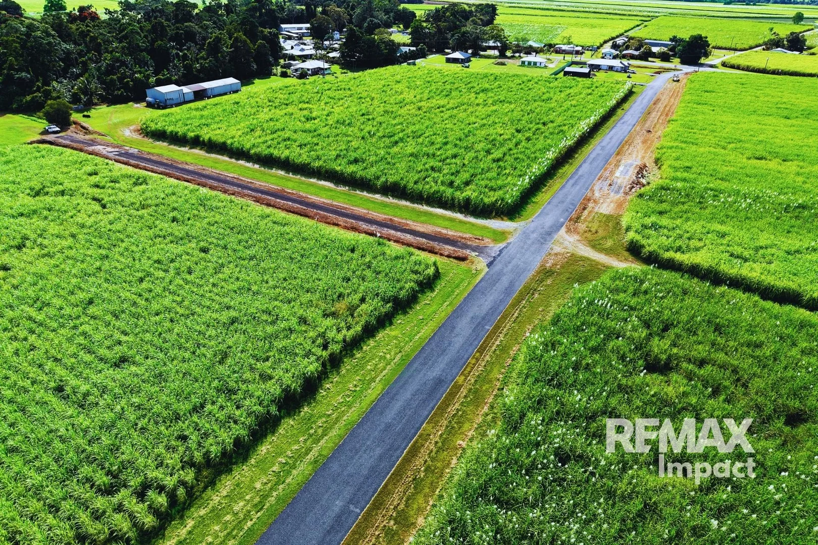 Additional image 5 of 142 Tati Road, Miallo QLD 4873