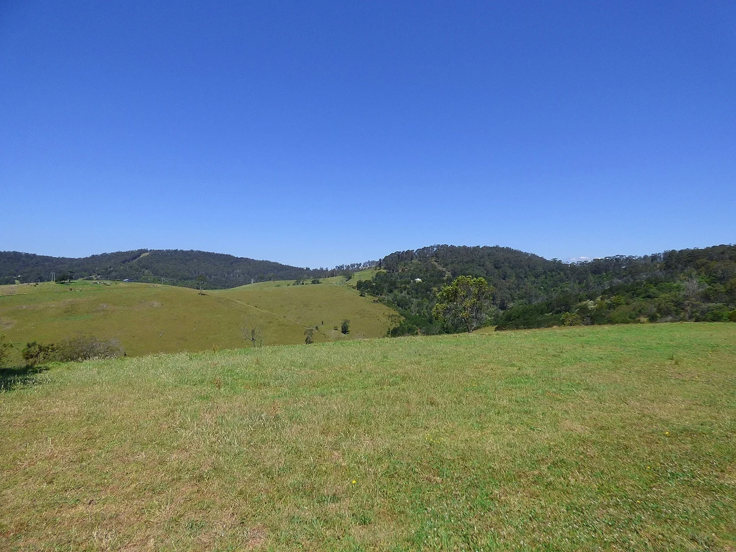 Additional image 3 of 135 Ruggs Rd, Nethercote NSW 2549