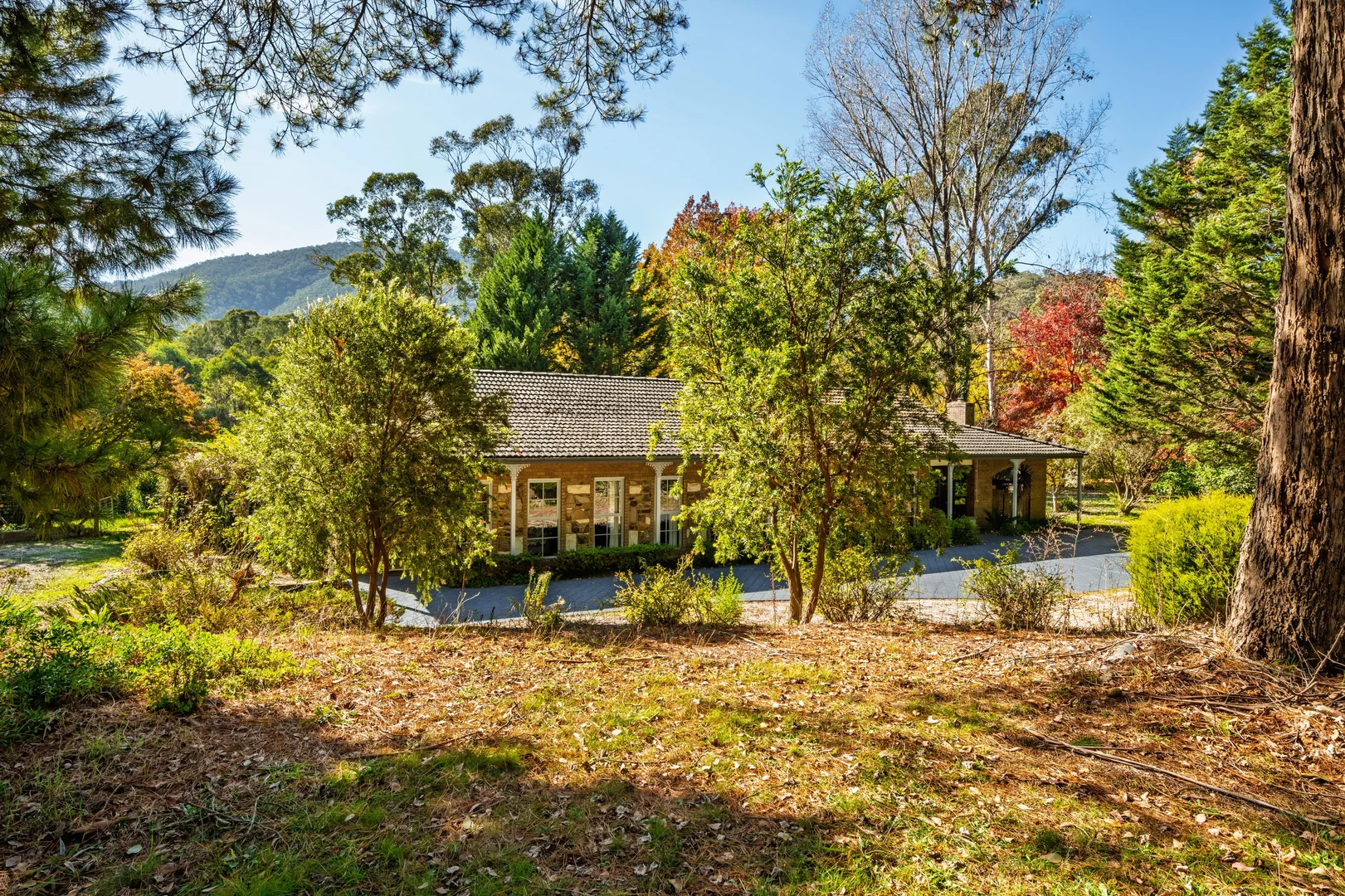 Additional image 7 of 839 Great Alpine Road, Freeburgh VIC 3741