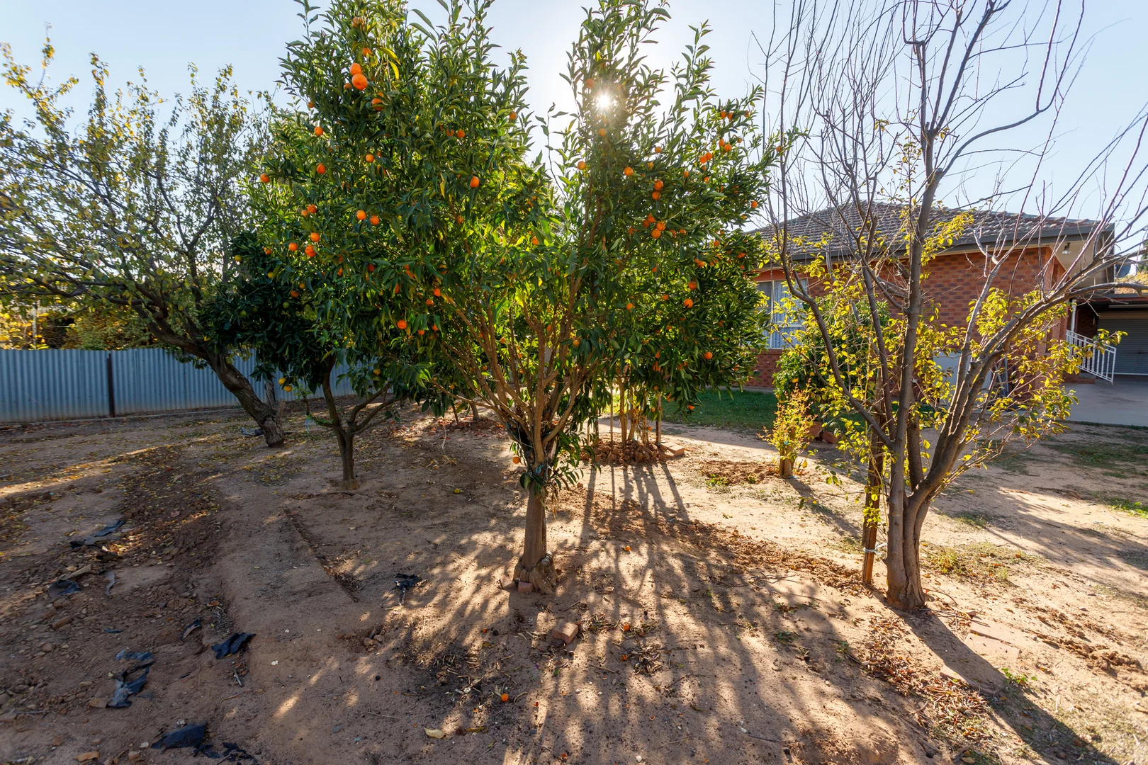 Additional image 21 of 4 Peter Avenue, Tatura VIC 3616