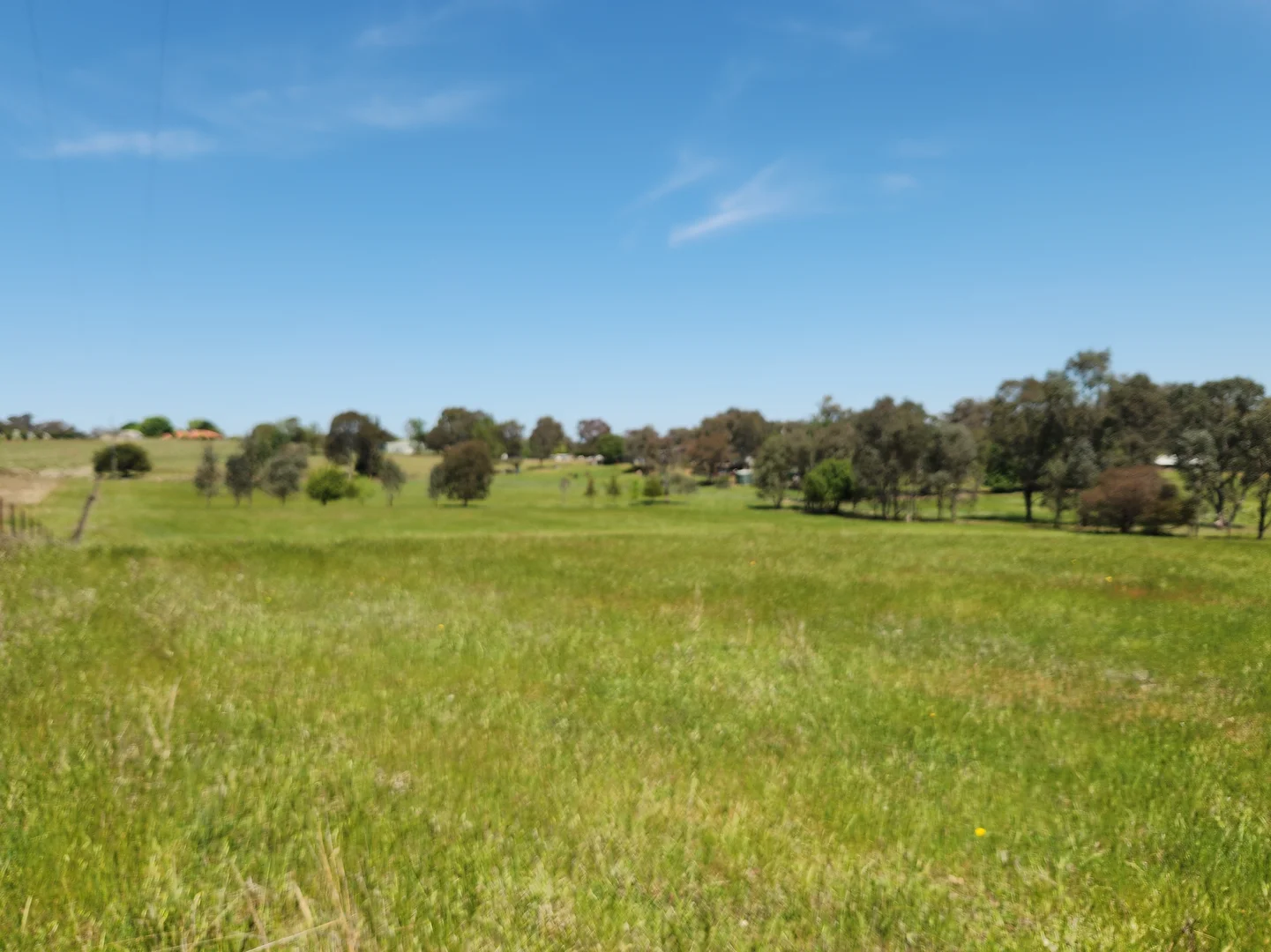 Additional image 5 of 225 Belmore Road, Young NSW 2594