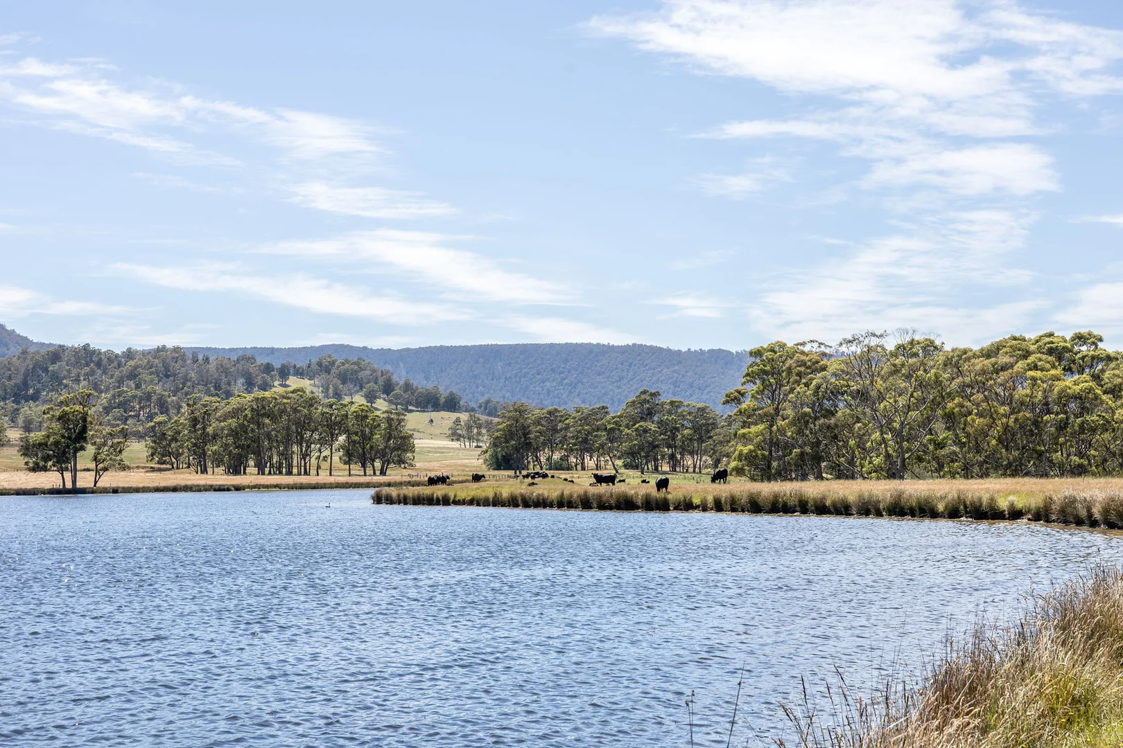 Additional image 10 of 3600 Blessington Road, Upper Blessington TAS 7212