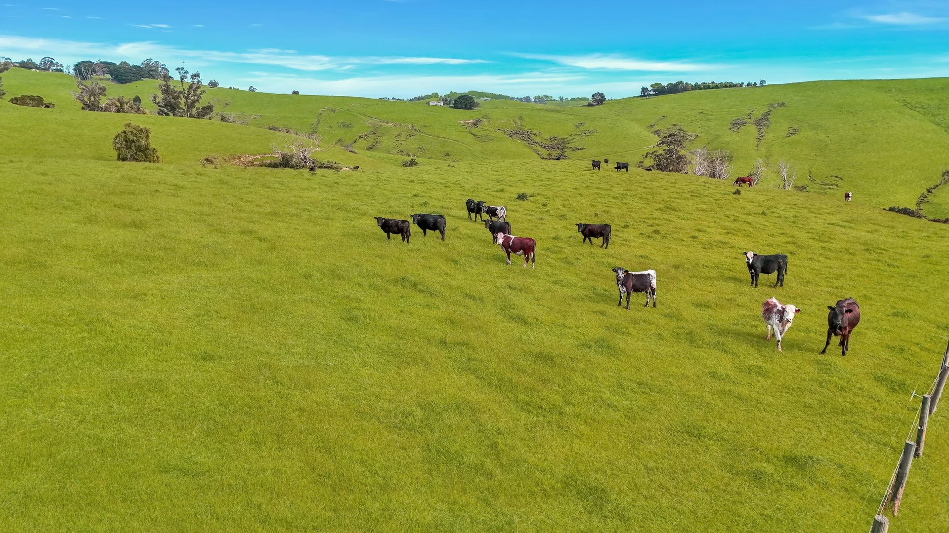 Additional image 4 of 160 Hollins Road, Trida VIC 3953