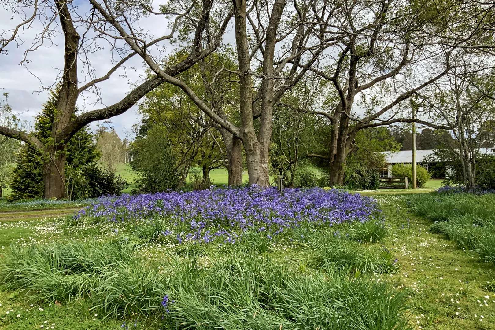 Additional image 42 of 70 Quamby Brook Road, Deloraine TAS 7304