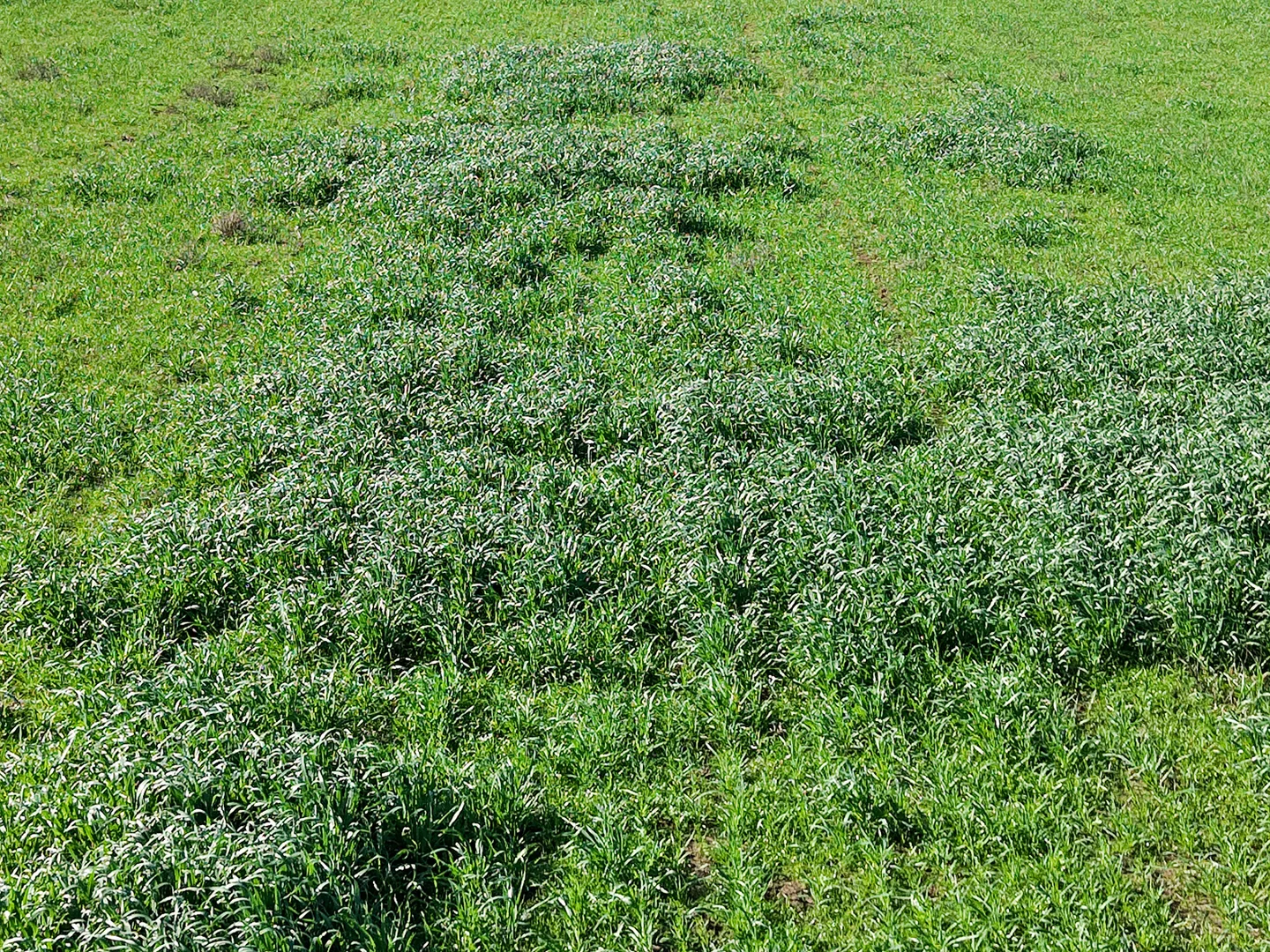 Additional image 37 of 140 Savins Road, Condah VIC 3303