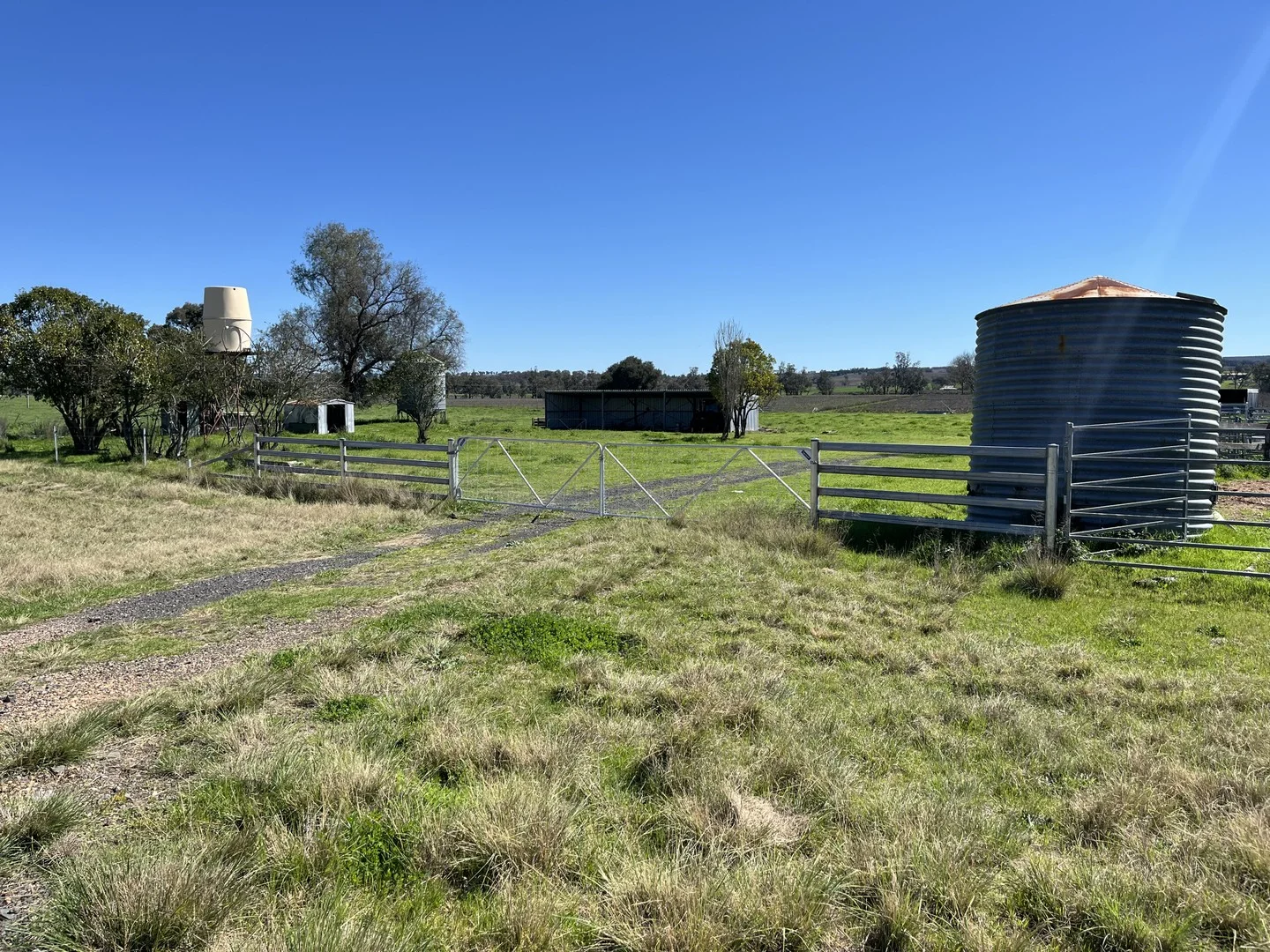 Additional image 6 of "Piambra" 714 Piambra Road, Binnaway NSW 2395