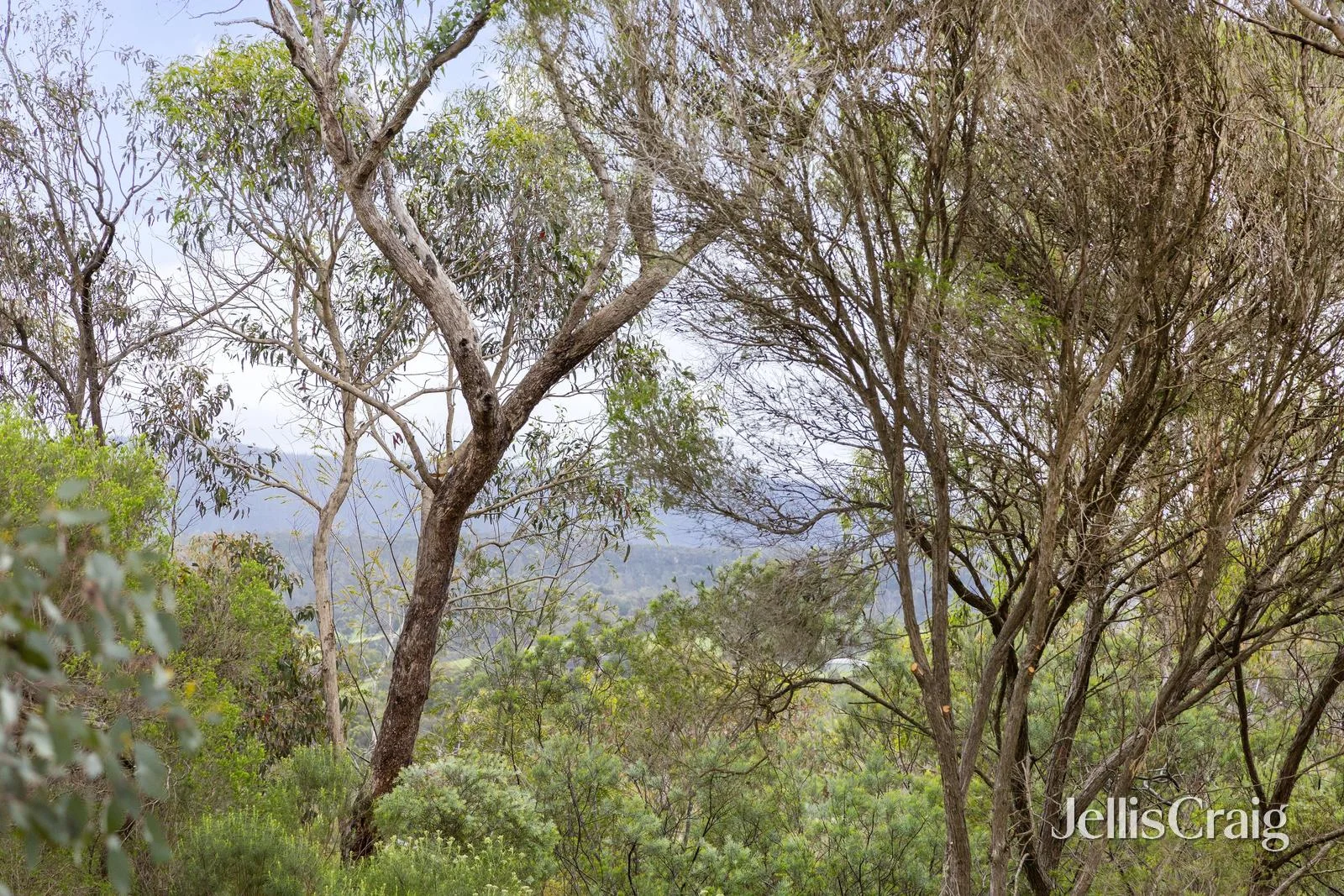 Additional image 18 of 64 Dodd Street, St Andrews VIC 3761