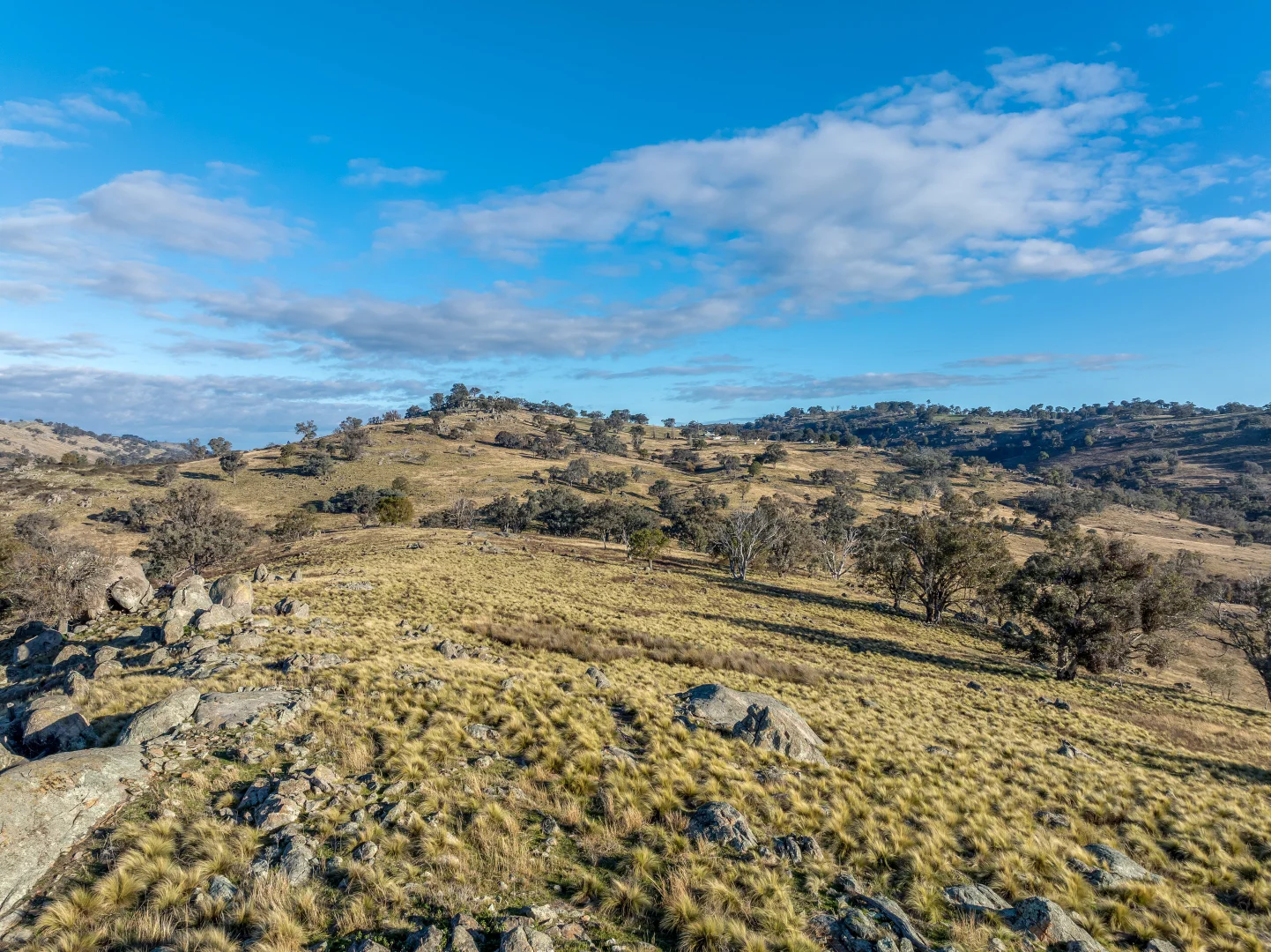 Additional image 14 of 498 (LOT A) Decca Road, Bigga NSW 2583